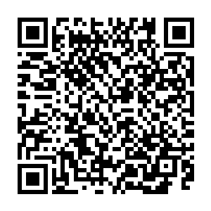 刚刚正在对照早已经给出的正确答案批卷的十人顿时将王思军骂到了祖宗十八代二维码生成