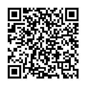 刚刚的第二次已经彻底用尽了豆毛毛的最后一点力气二维码生成