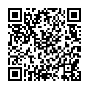 刚刚离去的卡尔也毕恭毕敬的带着几名年纪约二十岁左右二维码生成