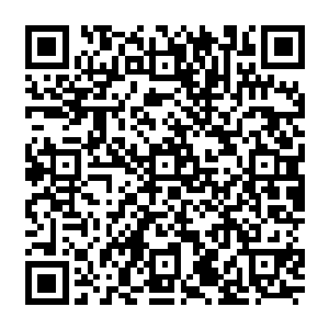 刚刚秦宇一句话喊住张桥并且让张桥乖乖坐下的一幕让得这两位男子觉得有些不可思议二维码生成