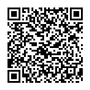 刚刚秦宇和白瑾那联合一击展露出来的实力让得他心里微微有些警惕二维码生成