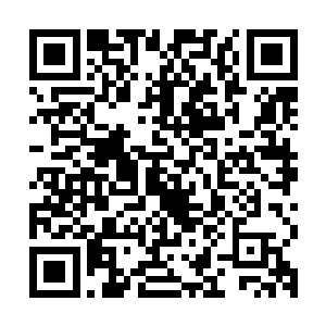 刚刚经历过熊熊火焰袭杀的血煞组织高手身体瞬间被冰冻了起来二维码生成