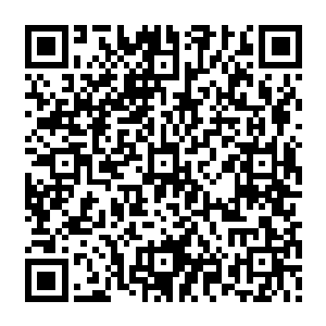 刚刚还在幻影九变骑士的攻击下犹如乌龟铁壳的五行环在碰到安多利尔的攻击的时候二维码生成