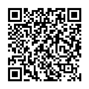 刚刚释放出神级战技的仙羽门太上长老才发现了同伴的死亡二维码生成
