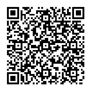 刚回家换了家居服的周晓莉听见了忍不住多看两眼跑电梯门口去接孩子爹妈的丈夫二维码生成