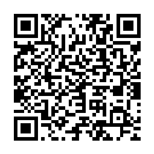 刚好又喜欢珍妮弗――接下来会有如何的想法也就不用多说了二维码生成