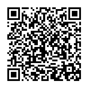 刚好看到已经出现在她身后上方的代离一手用千机卡住他手中的青钢巨斧二维码生成