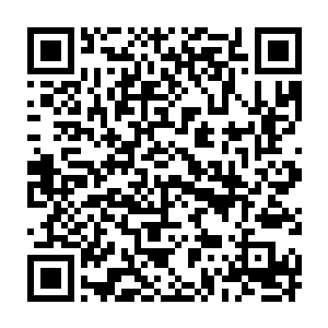 刚开始呆滞木讷的舌尖现在灵活得如同一尾小鱼在巴克的嘴里游荡二维码生成