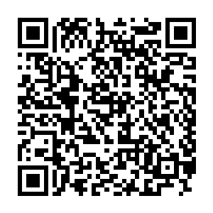 刚才专家已经将你那辆法拉利上面的炸弹残骸进行了仔细的分析研究二维码生成