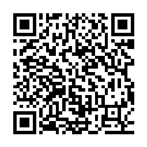 刚才他和赵师臣确实失悔怎么没先想到花鸟图案暗指鸟窝这一节二维码生成