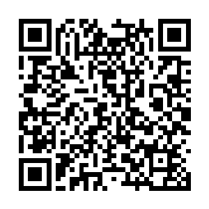 刚才你口口声声说你们跟异域修真界没有任何关系二维码生成