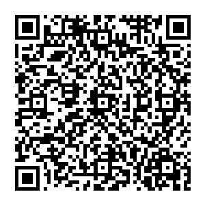 刚才你和这位摄像师应该已经将这个房间所有一切都看到了吧……在贫穷的表象下你们还看到了什么二维码生成