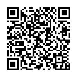 刚才因为激动而产生的杀机和煞气也在这一瞬间都消散掉了二维码生成
