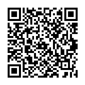 刚才在外面的时候他们就已经被林冰冰的样貌所吸引了二维码生成