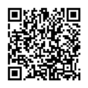 刚才在脑子里把可能会造成现在这样状况的病症过了一遍二维码生成