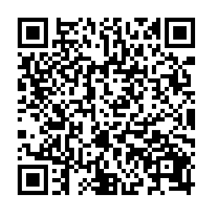 刚才在评论区看到有读者说人设是故意彰显主角的仁善而多余添加的……那个二维码生成