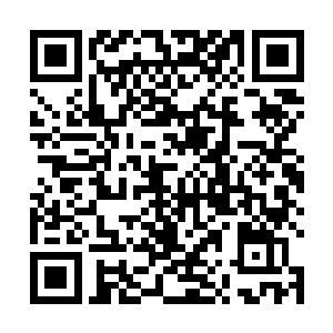 刚才在车上她大致已经和我说了现在县里面的玄门格局二维码生成