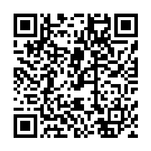 刚才张铁在用莲华之眼肆无忌惮观察和锁定黑血双圣的时候二维码生成