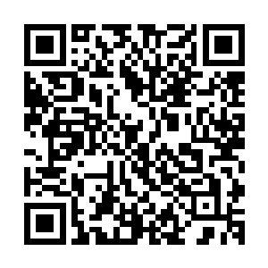 刚才彼得已经把他所体会到的这套拳法的意境给你展示出来了二维码生成