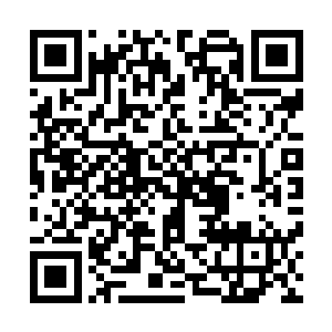 刚才我倒是看到家里的大老爷们全都浩浩荡荡的往华苑去了二维码生成