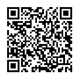 刚才机舱内的动静虽然外界根本不会出现任何的反应二维码生成