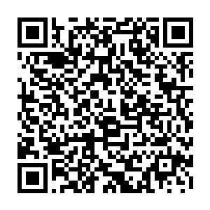 刚才李鸾儿说的那些目中无君想要造反甚至投敌的话确实叫德庆帝忌惮之极二维码生成