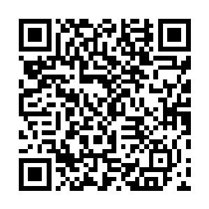刚才狼一和狼二两人想要用自己的身体挡住左护法的攻击二维码生成