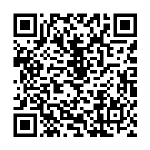 刚才由于他们坠落而震散荡开的浑浊雾海已经重新聚拢过来二维码生成