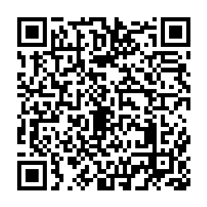 刚才的时候因为发动绝命一击而消耗的精力此时也瞬间恢复了过来二维码生成