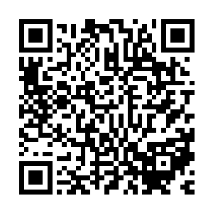 刚才的时候您不是说生命主神发现了对付了噬灵一族的办法了吗二维码生成