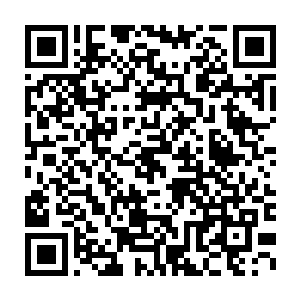 刚才的时候我听见你和罗东秋说话时他提到了什么港澳台投资洽谈会二维码生成