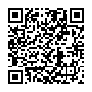 刚才的时候杨戬可是帮紫影彤挡住了绝大部分的冲击二维码生成