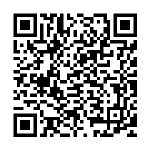 刚才的时候杨戬表现出来的恐怖的实力可是让他们都有些吓住了二维码生成
