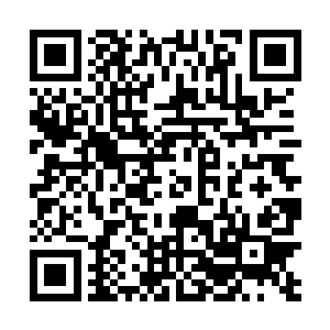 刚才紧张……咽口水……的时候把那几片叶子咽下去了二维码生成