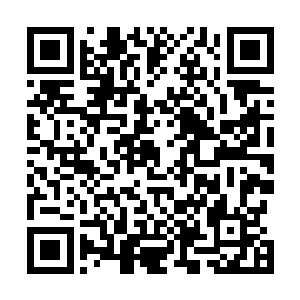 刚才苏叶将半截红酒瓶递出的时候长毛就已经结果动手了二维码生成