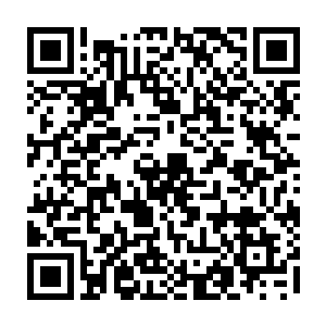刚才软绵绵仿佛只要他稍一用力就能够把它捏的破烂变形的手掌变得刚硬灼热二维码生成