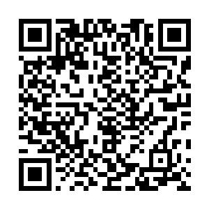 刚才还在为人们对八卦新闻的热衷而叹息的几个数据专家二维码生成