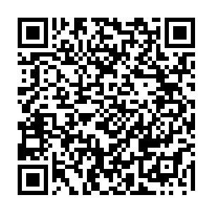 刚才还神秘兮兮准备调拨的老鬼在听到宝宝的话之后也是一脸的不可思议二维码生成
