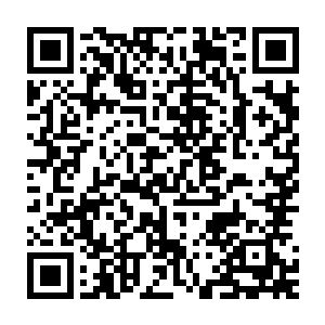 刚才龙傲天的表现已经给两个人种下了一种不可磨灭的强大的印象二维码生成