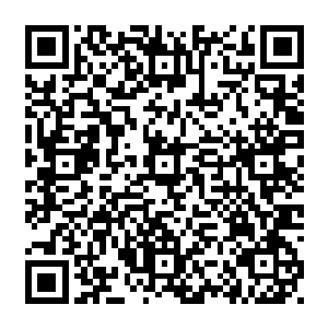 刚放开手准备把小一丢地上的流墨墨突然反应过来一下子收紧手臂把小一扯了回来二维码生成