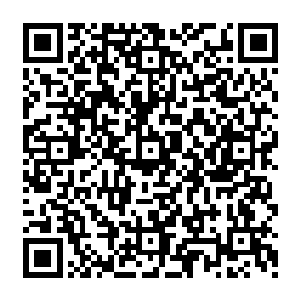 刚要挥手甩出五气封禁身侧最近某处门――只要一路慢慢杀光了也不怕泄密――忽止住动作二维码生成