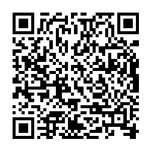 创造者的气息……但是却有些不同……是你么……为什么吾觉得有些不同……二维码生成
