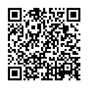 初夏……你……快走……我已经走不了了……拖着我二维码生成