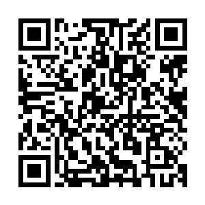 初次使用系统进行机甲学习的……人都会获得这样一套初态机甲二维码生成