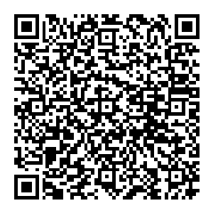 利比亚现在的军阀派系多如牛毛军团之间互相倒戈收编如同家常便饭恐怖组织一直在利比亚中南部区沙漠游走发展壮大二维码生成