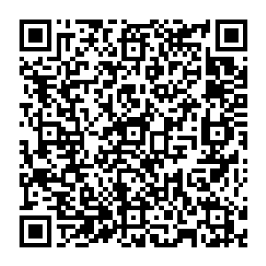 利用和梅里万――塞斯内特集团之间的合作也同样能够极大的提升雷欢喜以及他的方寸公司的声望二维码生成