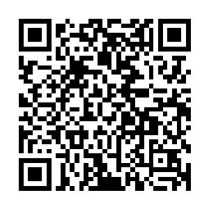利用最开始将他们传送进来的血色传送门重新回到了罗格营地二维码生成