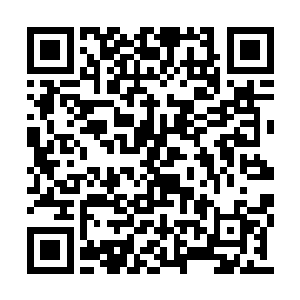 利用混沌钟的力量抵挡住这些藤蔓和树枝的攻击二维码生成