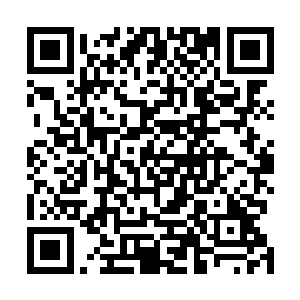 利用迅速的翻滚或是依托着废墟的断壁残垣和报废的车辆二维码生成