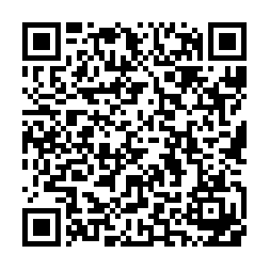 别人家的舰灵怎这样单纯好骗……自己碰到的这只舰灵为何就这样狡猾难缠二维码生成